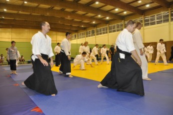 2012 10 trening aikido043