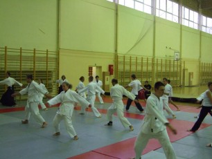 2008 trening aikido009