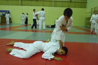2008 trening aikido036