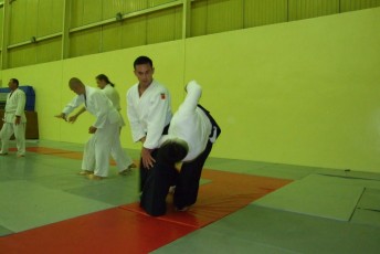 2008 trening aikido039