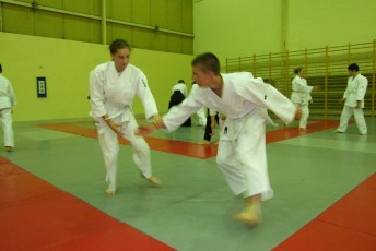 2008 trening aikido041