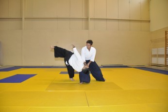 2011 08 trening aikido001