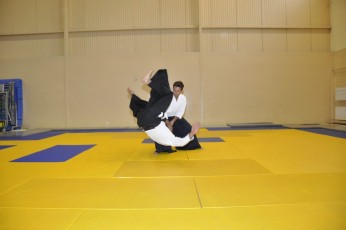 2011 08 trening aikido002
