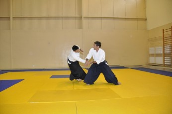 2011 08 trening aikido004