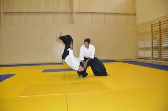 2011 08 trening aikido005