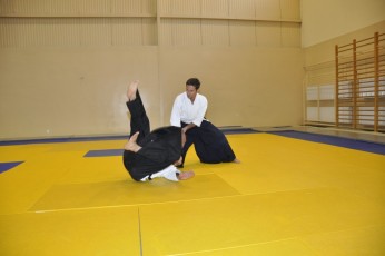 2011 08 trening aikido006