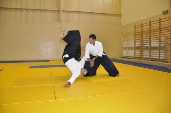 2011 08 trening aikido007