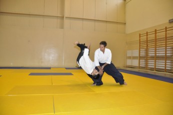2011 08 trening aikido008
