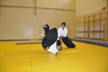 2011 08 trening aikido009