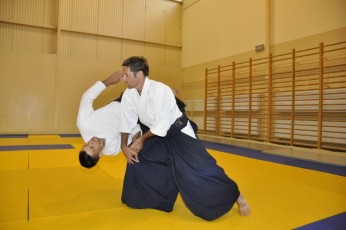 2011 08 trening aikido010