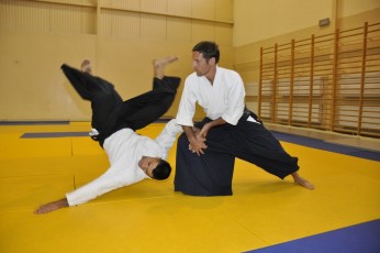 2011 08 trening aikido011