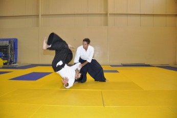 2011 08 trening aikido014