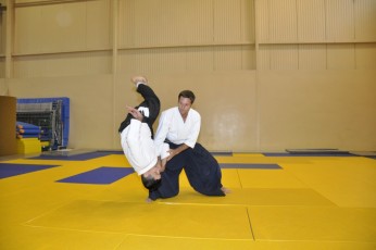 2011 08 trening aikido016