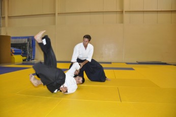 2011 08 trening aikido017