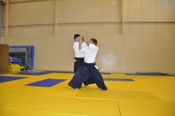 2011 08 trening aikido019