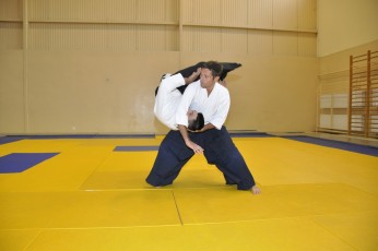 2011 08 trening aikido022