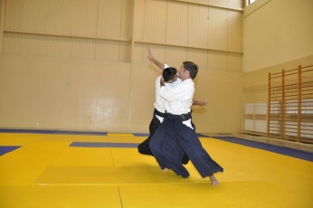 2011 08 trening aikido023