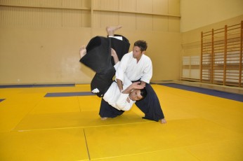 2011 08 trening aikido024