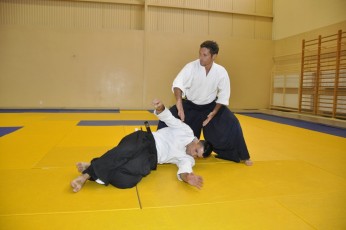 2011 08 trening aikido025