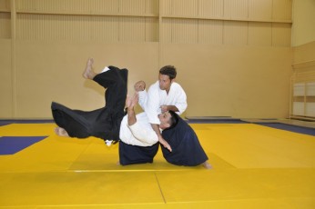 2011 08 trening aikido026