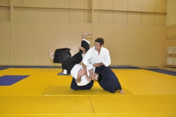 2011 08 trening aikido027