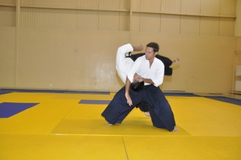 2011 08 trening aikido028