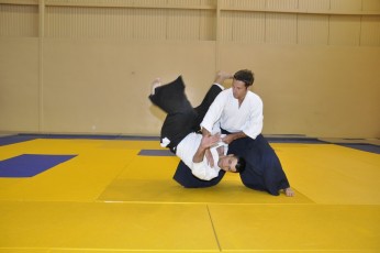 2011 08 trening aikido029