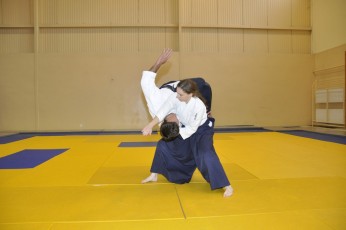 2011 08 trening aikido031