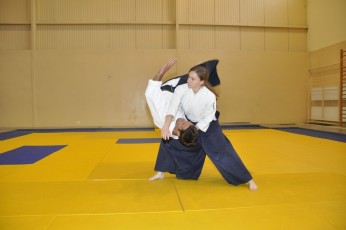 2011 08 trening aikido032
