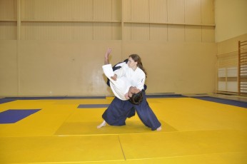 2011 08 trening aikido035