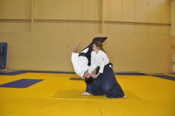 2011 08 trening aikido038