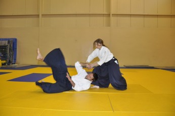 2011 08 trening aikido040