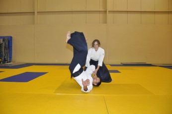 2011 08 trening aikido042