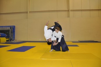 2011 08 trening aikido045