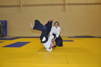 2011 08 trening aikido047