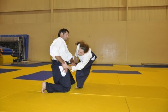 2011 08 trening aikido053