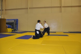 2011 08 trening aikido057
