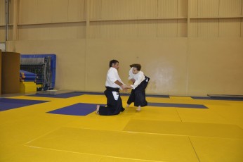 2011 08 trening aikido058