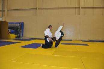 2011 08 trening aikido059
