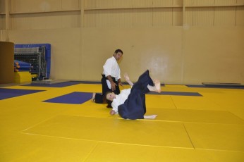 2011 08 trening aikido061