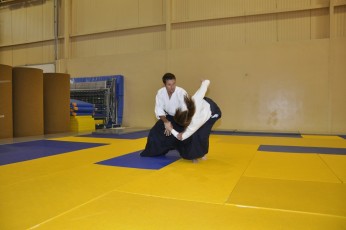 2011 08 trening aikido065