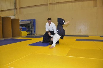 2011 08 trening aikido066