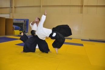 2011 08 trening aikido075