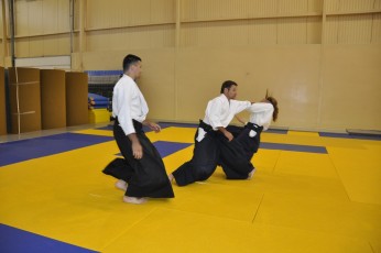 2011 08 trening aikido078