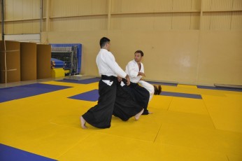 2011 08 trening aikido079
