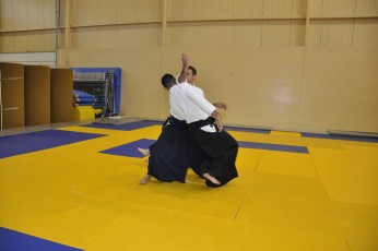 2011 08 trening aikido080