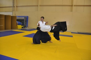 2011 08 trening aikido081