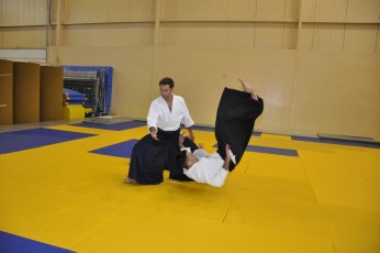 2011 08 trening aikido082