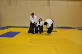 2011 08 trening aikido088