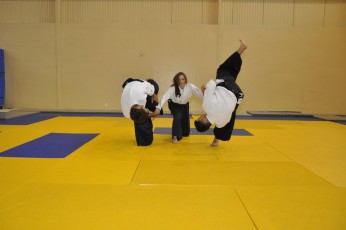 2011 08 trening aikido089